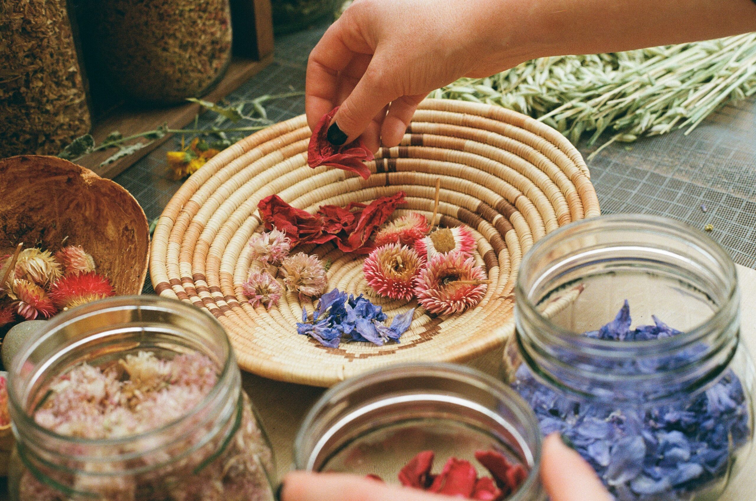 A Hand Places Dried Red Petals in a Woven Basket With Other Colorful Flowers. Nearby, Jars of Dried Petals Evoke a Calm, Creative Atmosphere.